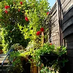 Galway Guest House