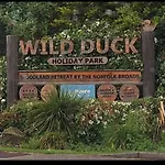 Beautiful 3 Bedroom Caravan Wild Duck Haven Near Great Yarmouth